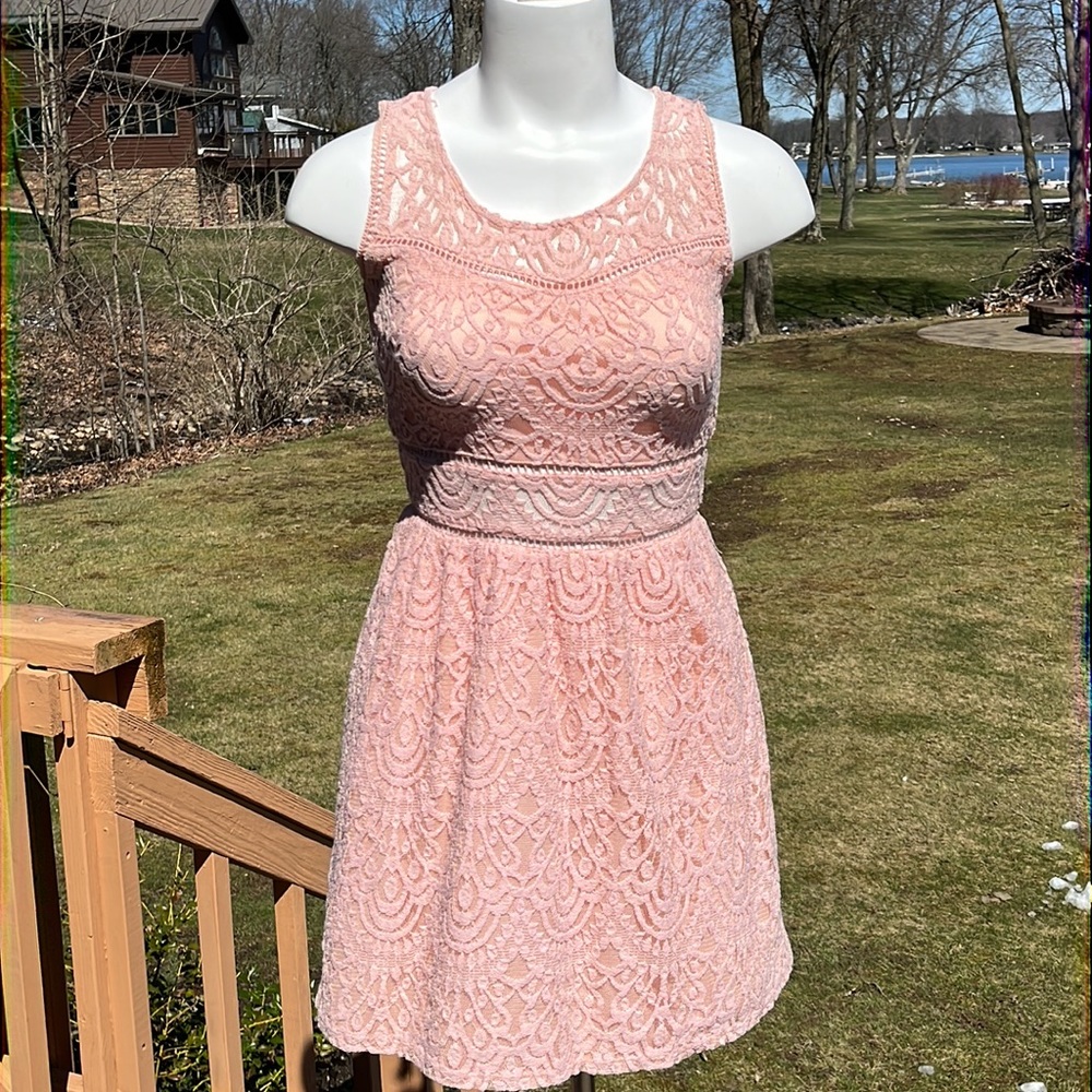 Trixxi romantic lace skater dress 3